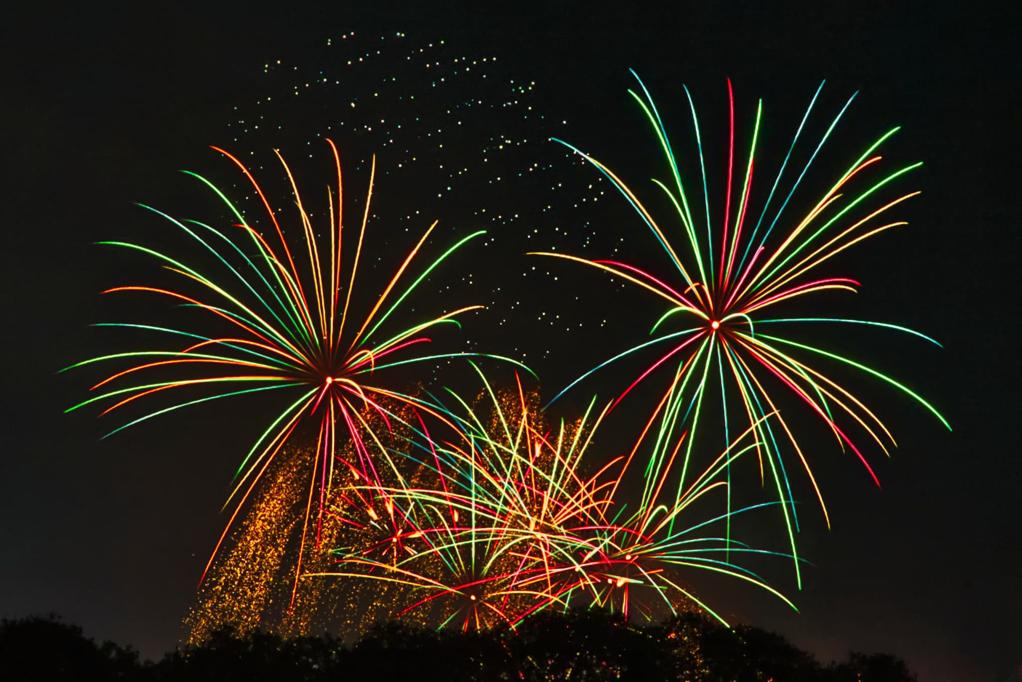 Top Firework Shops Near Me with Great Prices